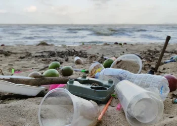 PLAGES EN DANGER : les gestes du quotidien qui menacent notre littoral