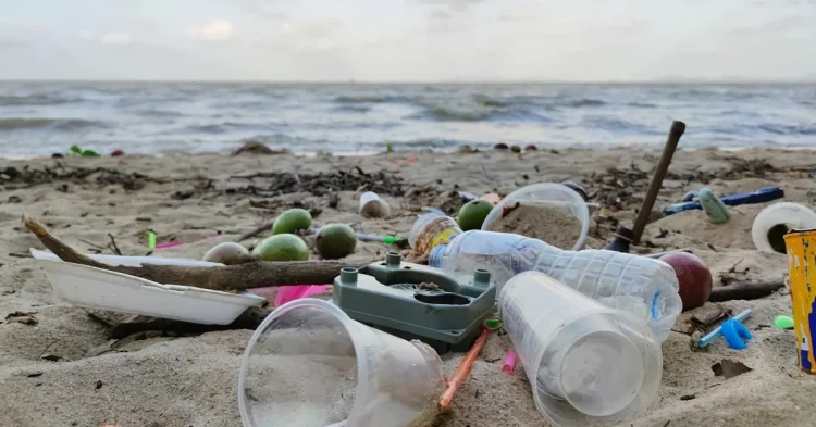 PLAGES EN DANGER : les gestes du quotidien qui menacent notre littoral